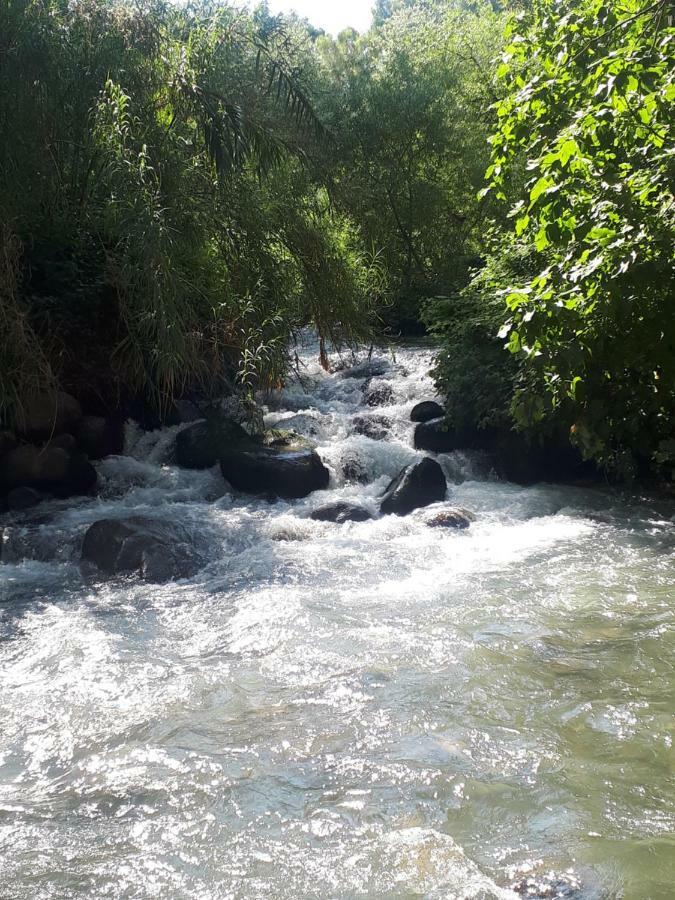 Studio Near The River Hagoshrim Esterno foto