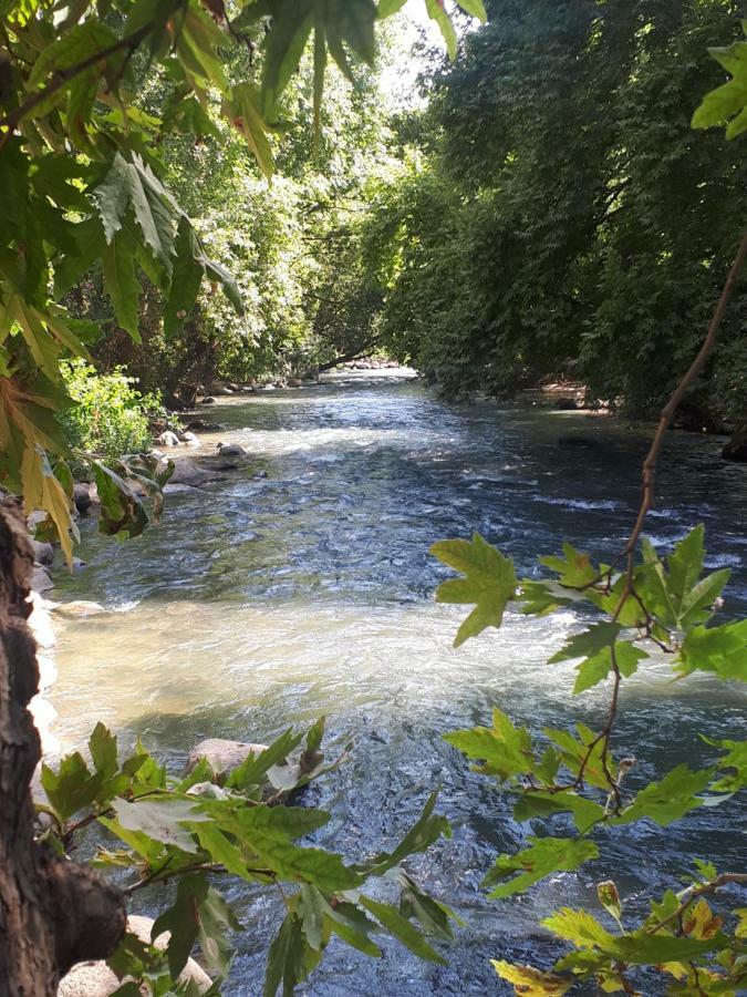 Studio Near The River Hagoshrim Esterno foto